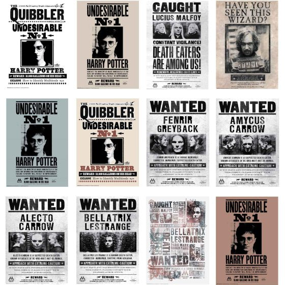 Harry Potter Wanted Posters SRT 12pk