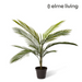 Ronis Areca Plam (Outdoor) Green 50x50x65cm