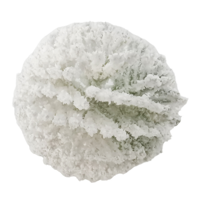 Ronis Berry Ball 6x6cm White