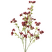 Berry Flowering Spray Burgundy 68cml