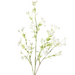 Berry Flowering Spray White 68cml