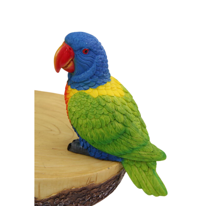 Ronis Budgee Parrot Lorikeet on Display 17cm 5 Asstd