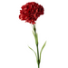 Carnation Dark Red 47cml