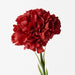 Carnation Dark Red 47cml