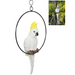 Ronis Cockatoo/Parrot in 25cm Ring (Knock Down) 43cm