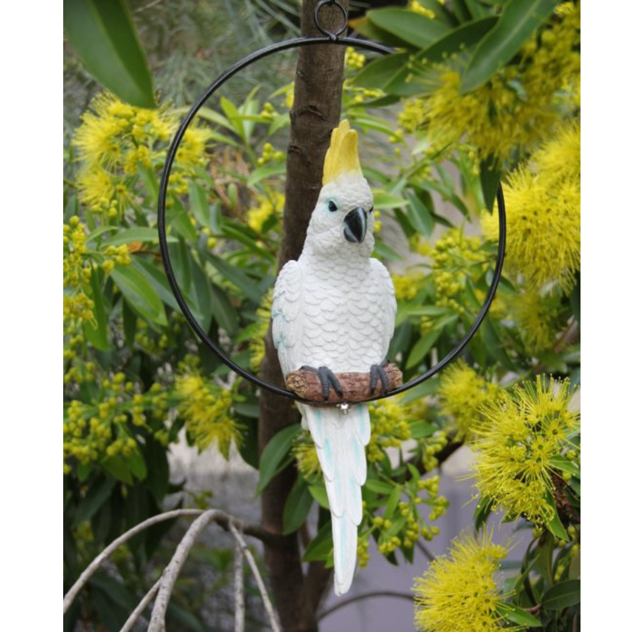 Ronis Cockatoo/Parrot in 25cm Ring (Knock Down) 43cm