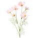 Cosmos Spray Light Pink 62cml