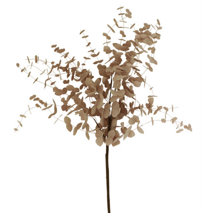 Ronis Eucalyptus Branch 70cm Nude