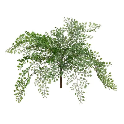 Fern Maidenhair Bush Grey Green 35cml