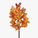 Orchid Cymbidium Orange 58cml