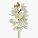 Orchid Cymbidium White 58cml