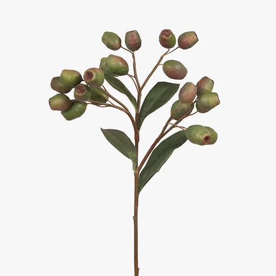 Eucalyptus Gum Nut Green 51cml
