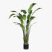 Bird of Paradise Leaf Plant Green 148cmh