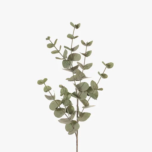 Eucalyptus Silver Dollar Forest Green 86cml