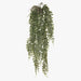 Fern Jewel Hanging Bush Grey Green 81cml