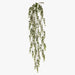 Eucalyptus Hanging Bush Grey Green 74cml