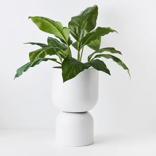 Spathiphyllum Leaf Plant Green 63cmh