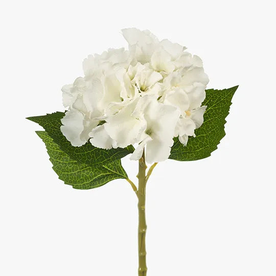 Hydrangea White 32cml