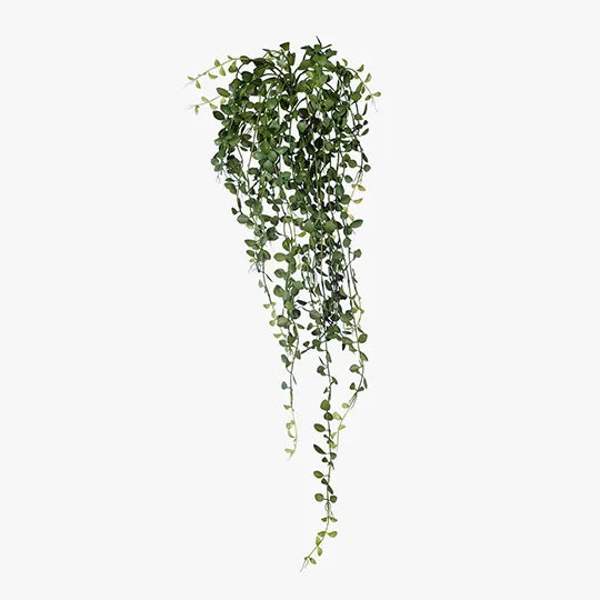 Fern Button Hanging Bush Green 94cml