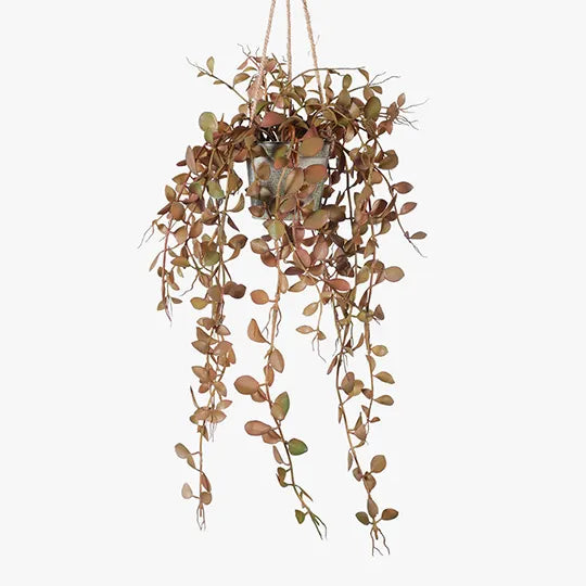 Fern Button Hanging Pot Rust 41cml x 20cmw