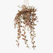 Fern Button Hanging Pot Rust 41cml x 20cmw