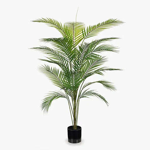 Palm Parlour Green 126cmh