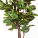 Fiddle Leaf Tree Green 183cmh