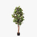 Fiddle Leaf Tree Green 183cmh