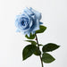 Rose Hannah Ice Blue 75cml