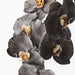 Orchid Phalaenopsis Infused x8 Black White 96cml