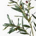 Olive Leaf Spray Green 91cml