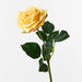Rose Clara Yellow 60cml