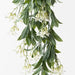 Stephanotis Hanging Bush White 74cml