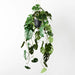 Monstera Hanging Pot Green 105cml