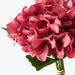 Hydrangea Bouquet Burgundy 25cml