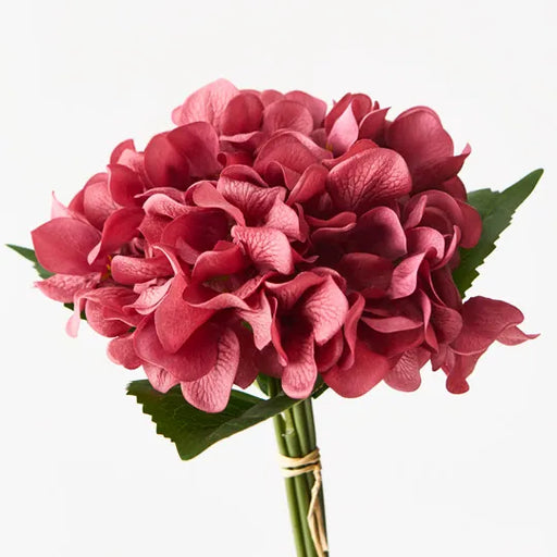 Hydrangea Bouquet Burgundy 25cml