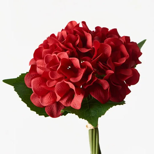 Hydrangea Bouquet Red 25cml