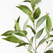 Eucalyptus Spray Grey Green 91cml