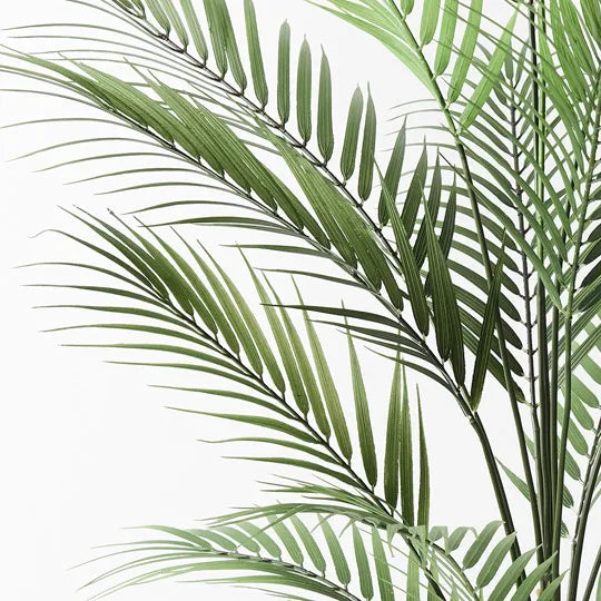 Palm Parlour Green 92cmh