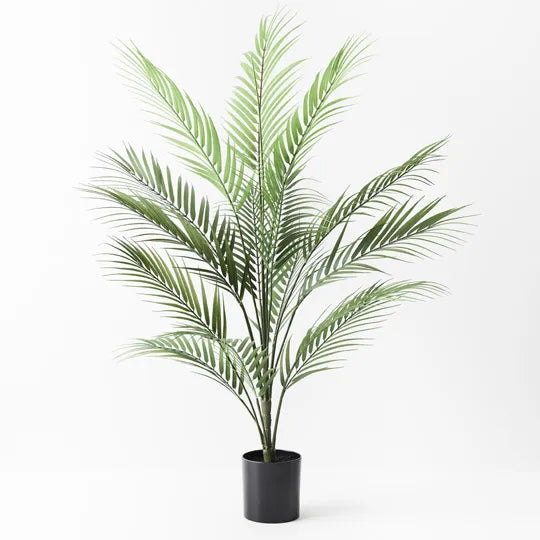 Palm Parlour Green 92cmh