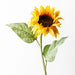 Sunflower Yellow 61cml