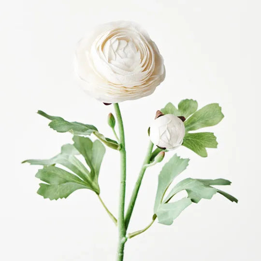 Ranunculus Spray Winter White 50cml