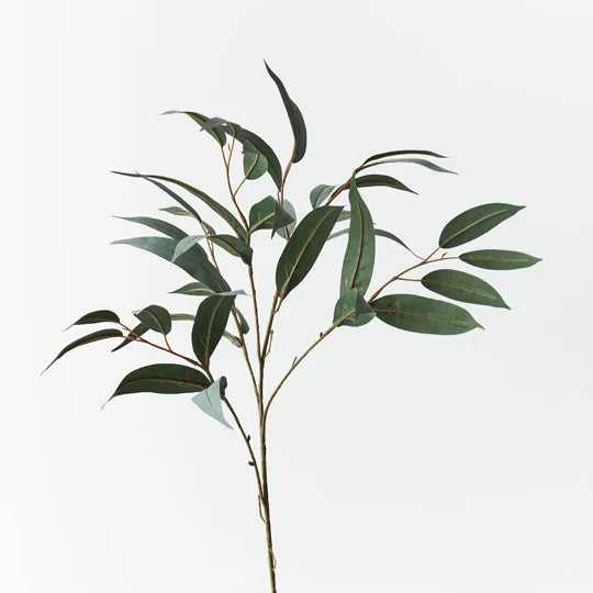 Eucalyptus Long Leaf Spray Grey Green 78cml