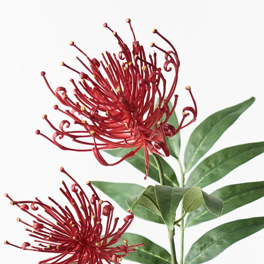 Grevillea Spray Red 74cml