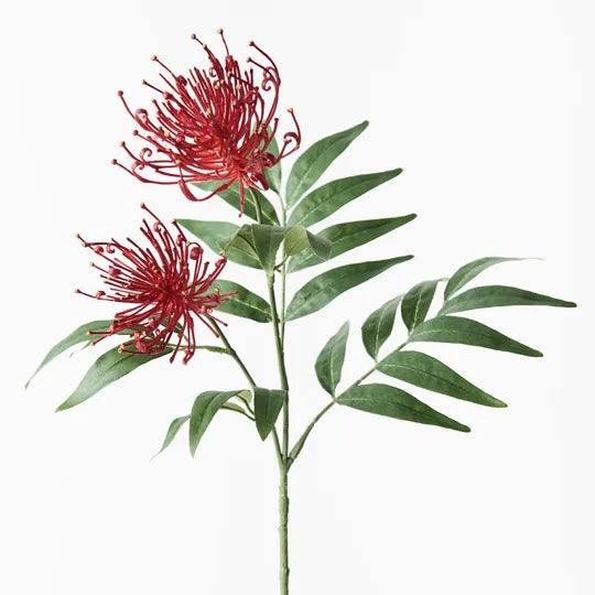 Grevillea Spray Red 74cml