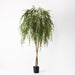 Willow Weeping Tree Green 180cmh