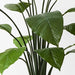 Spathiphyllum Leaf Plant Green 100cmh