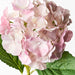 Hydrangea Light Pink 52cml