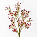 Babys Breath Spray Red 66cml