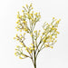 Babys Breath Spray Yellow 66cml